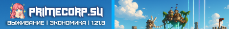 Баннер сервера PRIMECORP
