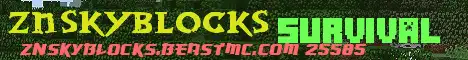 Баннер сервера ZN]Skyblock