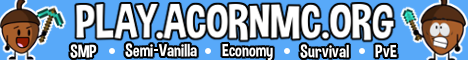 Баннер сервера Acorn