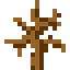 KYCSTBOX