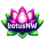 Иконка сервера LotusNW