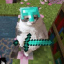 SHIFTCRAFT