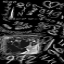 185.107.192.143