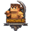 Иконка сервера MINEWILD