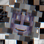 DMS STAR