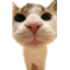 Логотип сервера MeepCraft