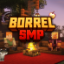 Иконка сервера BorrelSMP