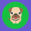 Логотип сервера PUGCOONLINE
