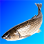 Fishworld