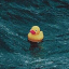 Логотип сервера LonelyDuckSMP