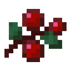 BerryServer5