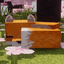 Иконка сервера FoxyCraft