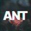 Логотип сервера ANTS