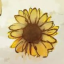 play-yanshi.ru