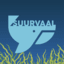 Иконка сервера Suurvaal
