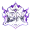 Иконка сервера BIGNETWORK-Survie