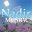 Логотип сервера Nadir