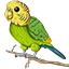 Иконка сервера Budgie