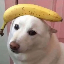 5.188.118.142