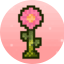 Логотип сервера MineBloom