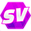Иконка сервера SpaceValley