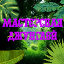 JungleWorld