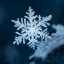 FREEZEGRIEF