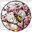 Логотип сервера HoneyBlossomSMP
