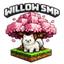 Иконка сервера WillowSMP