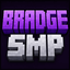 Логотип сервера BRADGE