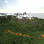 RIPSERVER