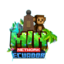 Иконка сервера MinEcuador