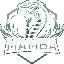 MAMBA