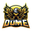 Иконка сервера DomeMC