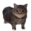 51.89.95.143