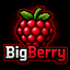 Иконка сервера BigberrySMP