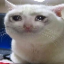 185.107.194.90