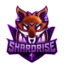 Логотип сервера ShardRise