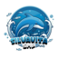 Иконка сервера silvavita
