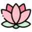 Логотип сервера Lotus Fields