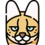 Логотип сервера SERVAL