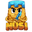 Иконка сервера Nusi