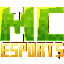 Логотип сервера Minecraft Esports