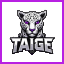 Иконка сервера TAiGENW