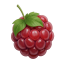Логотип сервера MCRaspi