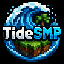 Логотип сервера TIDESMP