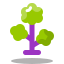 SAFIXSTAR