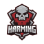 Логотип сервера Harming