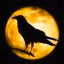 Raven-Craft