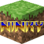 Логотип сервера Ninky